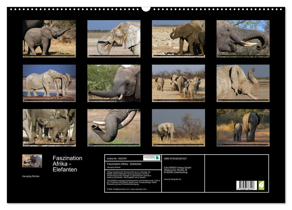 Faszination Afrika - Elefanten (CALVENDO Wandkalender 2024)