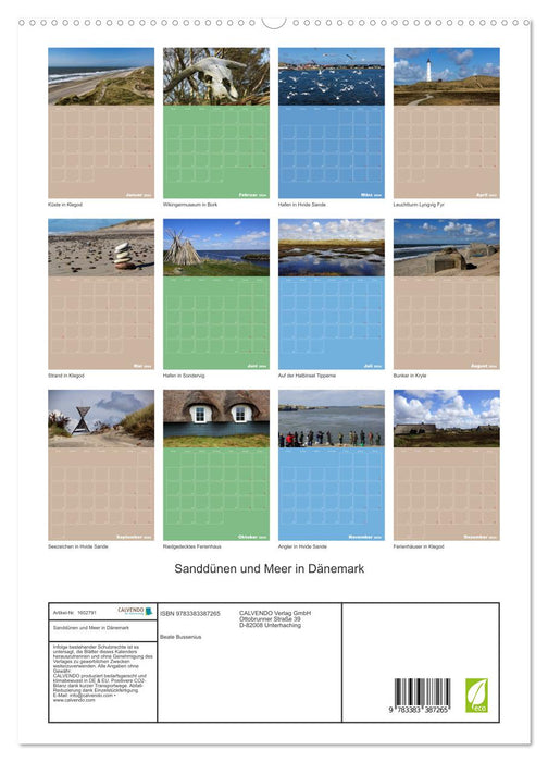 Sanddünen und Meer in Dänemark (CALVENDO Premium Wandkalender 2024)