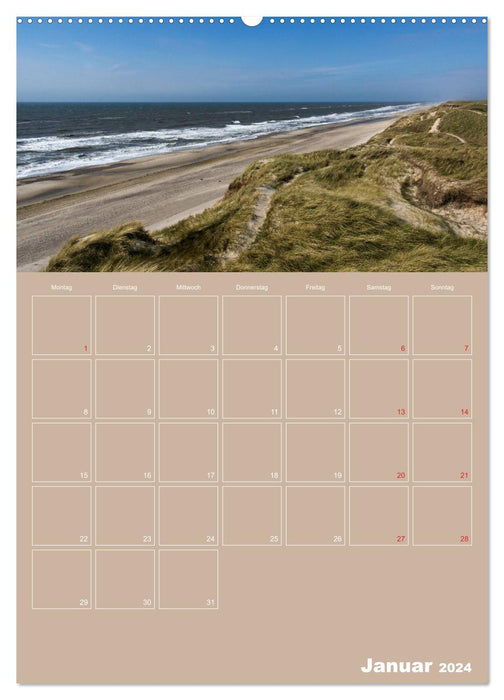 Sand dunes and sea in Denmark (CALVENDO Premium Wall Calendar 2024) 