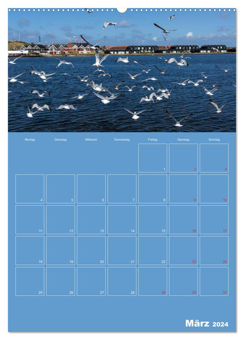 Sanddünen und Meer in Dänemark (CALVENDO Premium Wandkalender 2024)