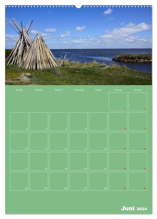 Sand dunes and sea in Denmark (CALVENDO Premium Wall Calendar 2024) 