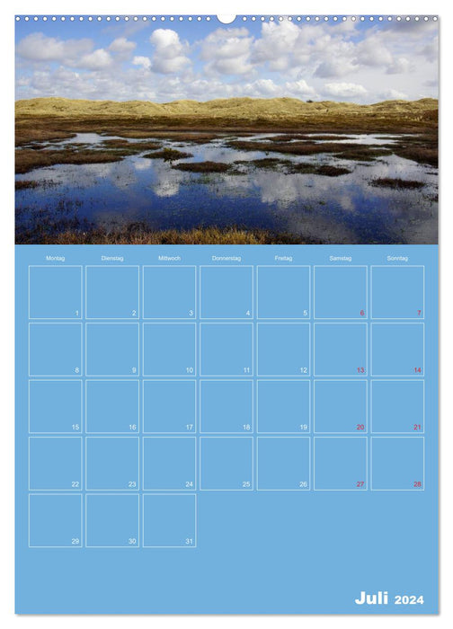 Sanddünen und Meer in Dänemark (CALVENDO Premium Wandkalender 2024)