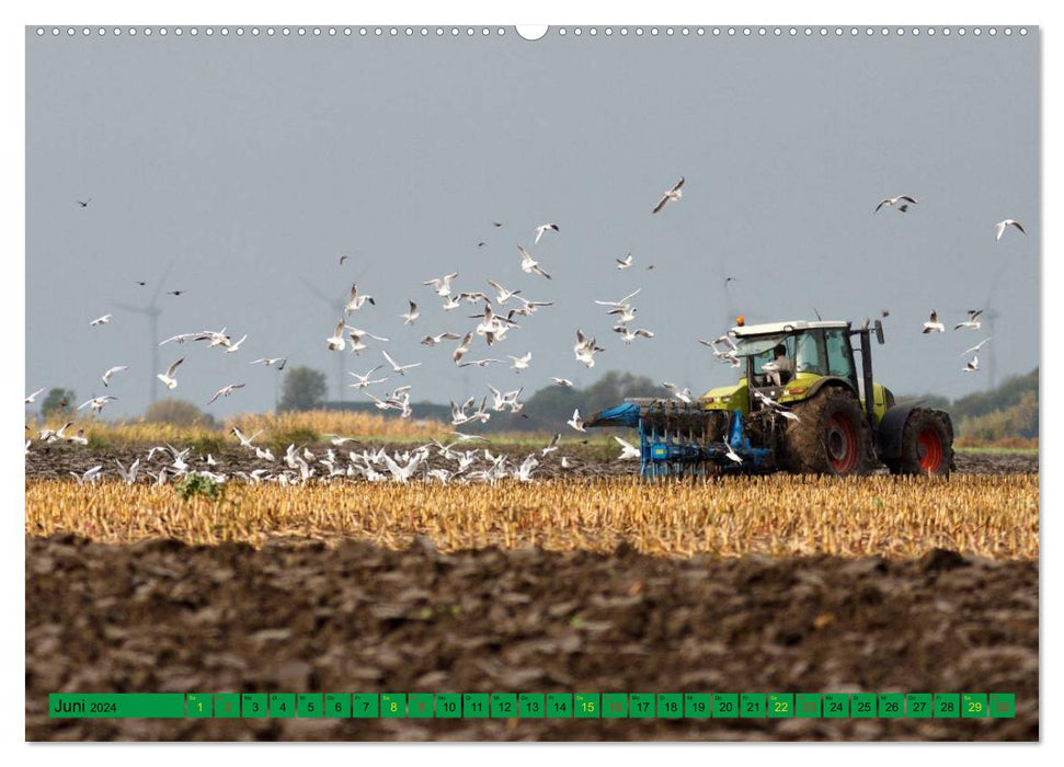 Agriculture - machines en utilisation (calendrier mural CALVENDO 2024) 