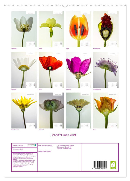 Cut flowers 2024 (CALVENDO Premium wall calendar 2024) 