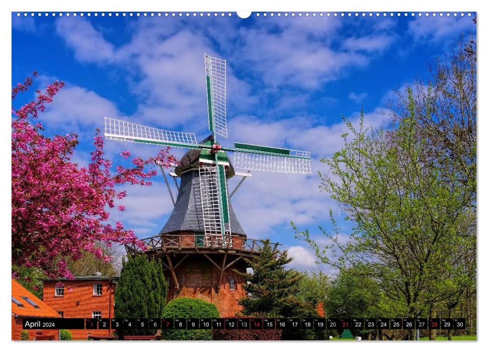 Windmühlen in Ostfriesland (CALVENDO Premium Wandkalender 2024)