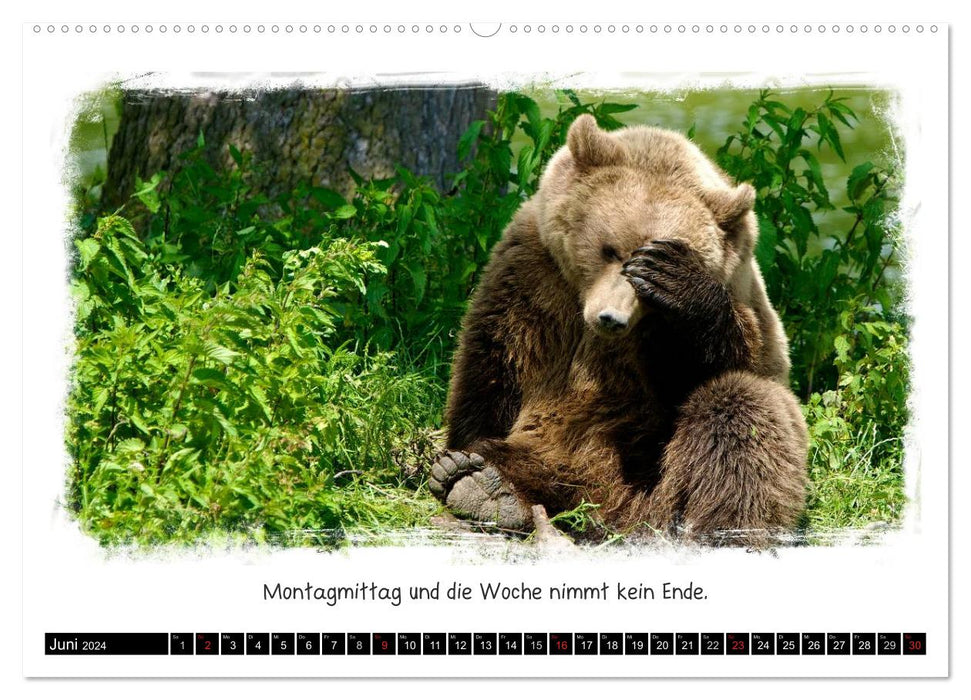 Animalically funny (CALVENDO Premium Wall Calendar 2024) 