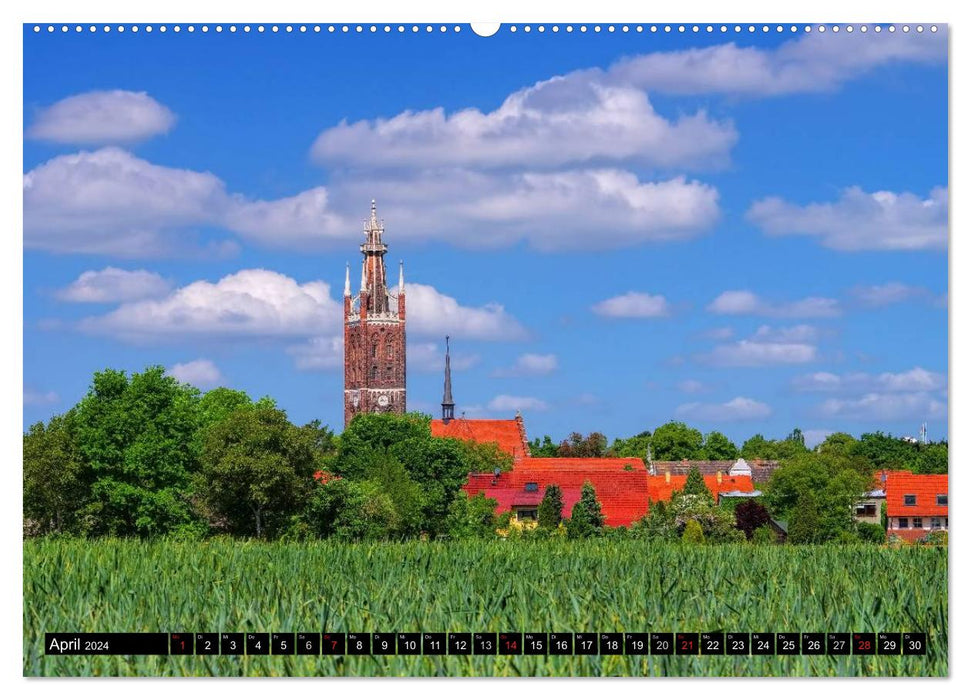 Walk through Wörlitzer Park (CALVENDO Premium Wall Calendar 2024) 