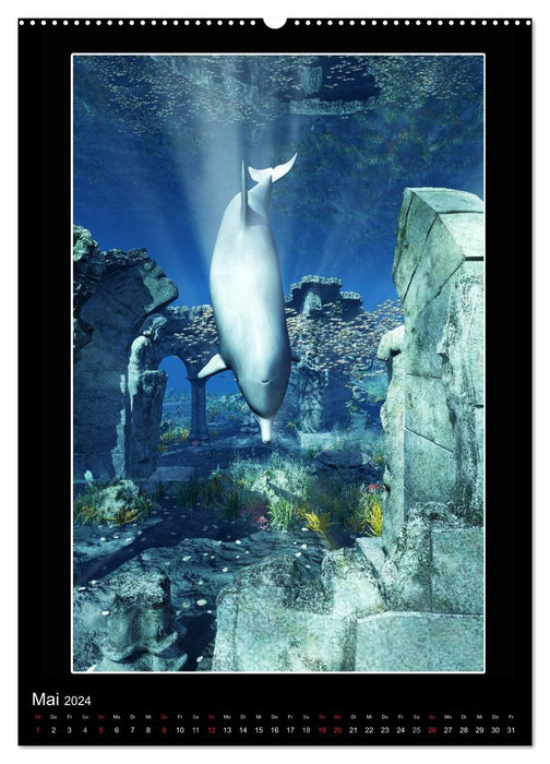 Mysterious dolphins (CALVENDO Premium Wall Calendar 2024) 