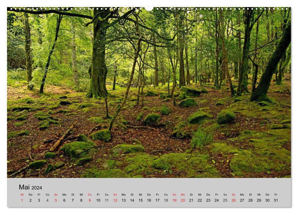 Fascination Ireland - nature pure (Calvendo Premium Wall Calendar 2024)