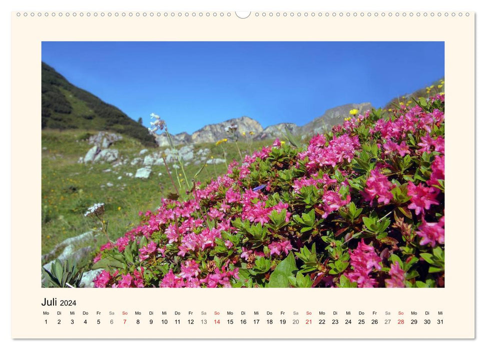 La magie des fleurs au Tyrol (Calendrier mural CALVENDO Premium 2024) 