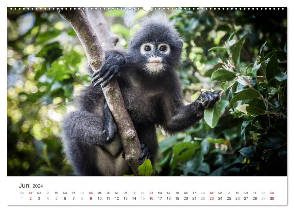 SOUTHEAST ASIA (CALVENDO Premium Wall Calendar 2024) 