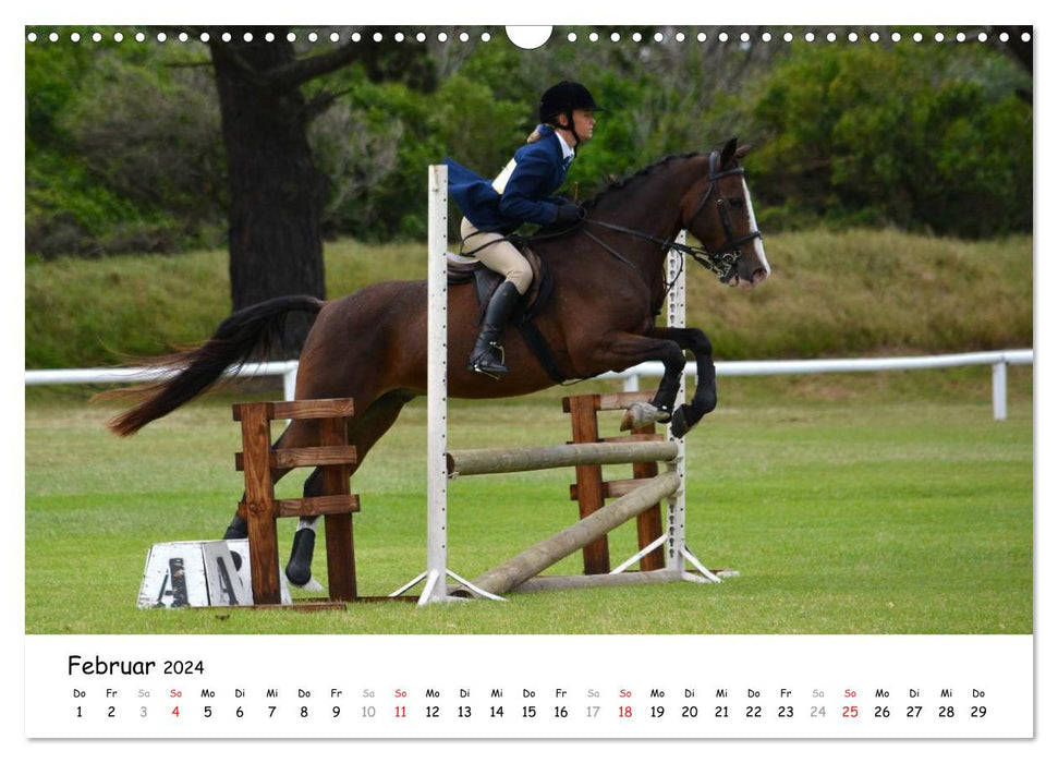 Pony show jumping (CALVENDO wall calendar 2024) 