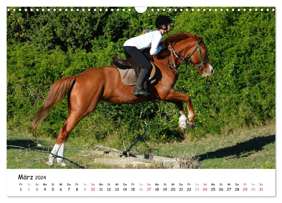 Pony Springreiten (CALVENDO Wandkalender 2024)