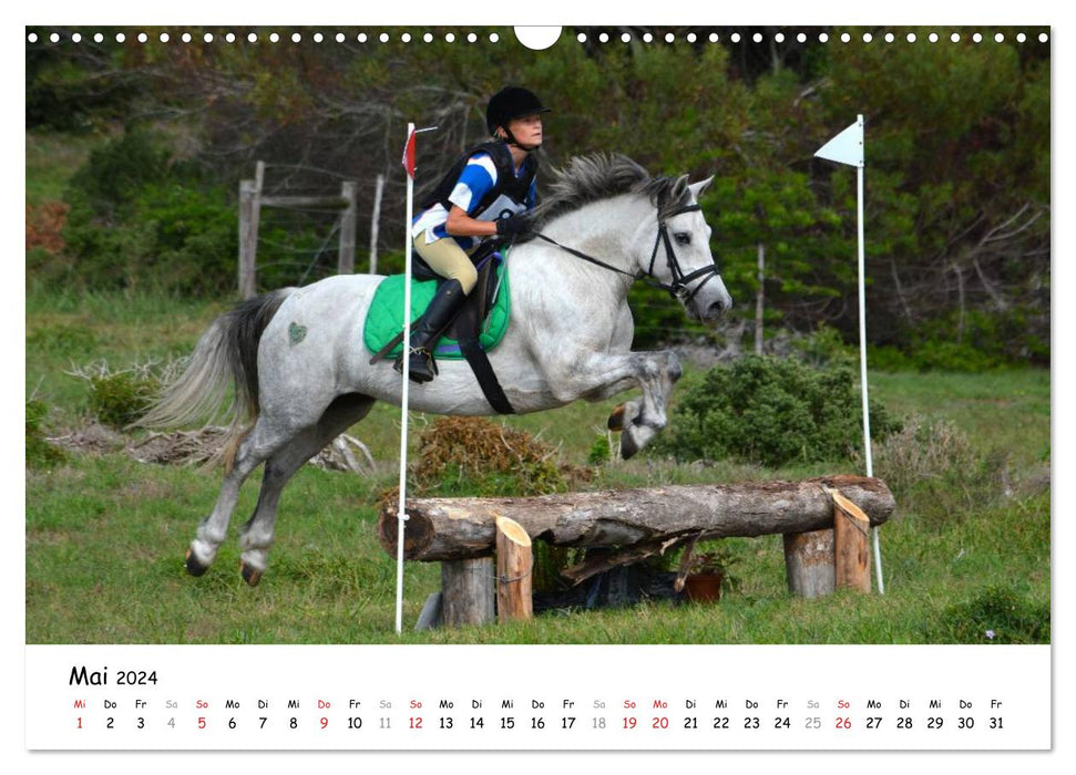 Pony show jumping (CALVENDO wall calendar 2024) 