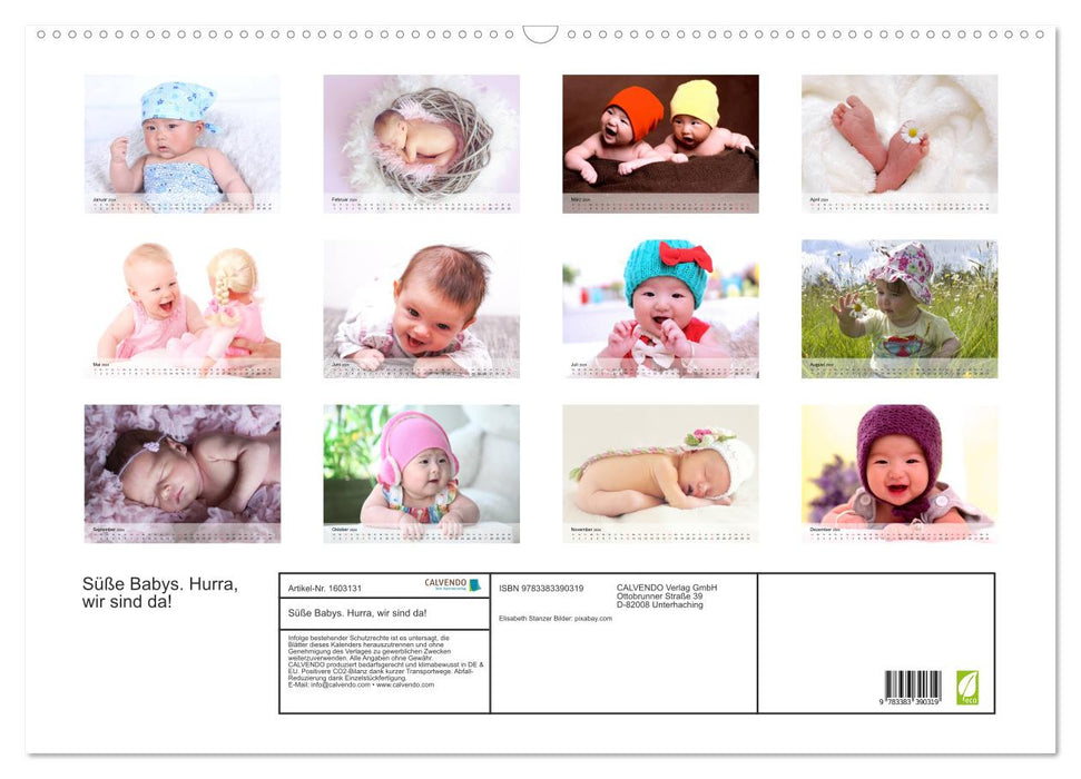 Sweet babies. Hurray, we are here! (CALVENDO wall calendar 2024) 