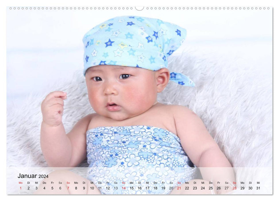 Sweet babies. Hurray, we are here! (CALVENDO wall calendar 2024) 