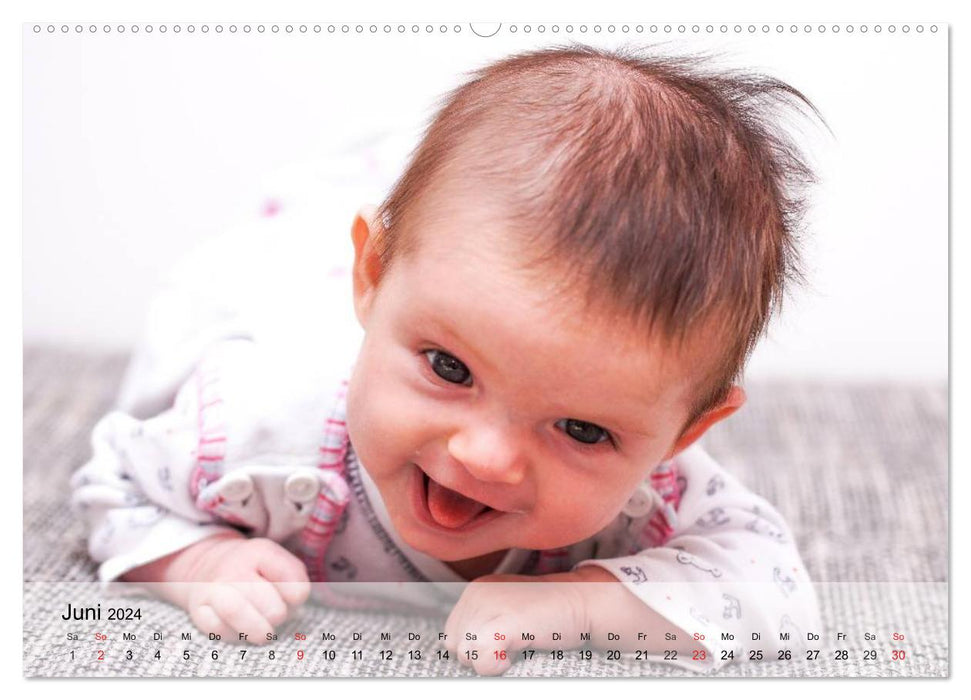 Sweet babies. Hurray, we are here! (CALVENDO wall calendar 2024) 