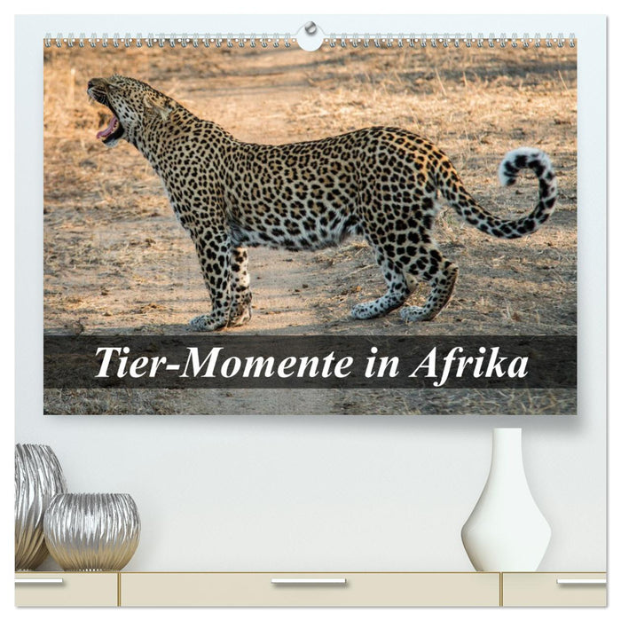 Moments animaux en Afrique (Calendrier mural CALVENDO Premium 2024) 