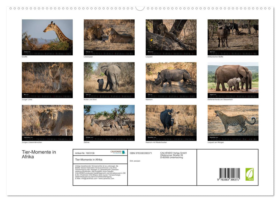 Moments animaux en Afrique (Calendrier mural CALVENDO Premium 2024) 