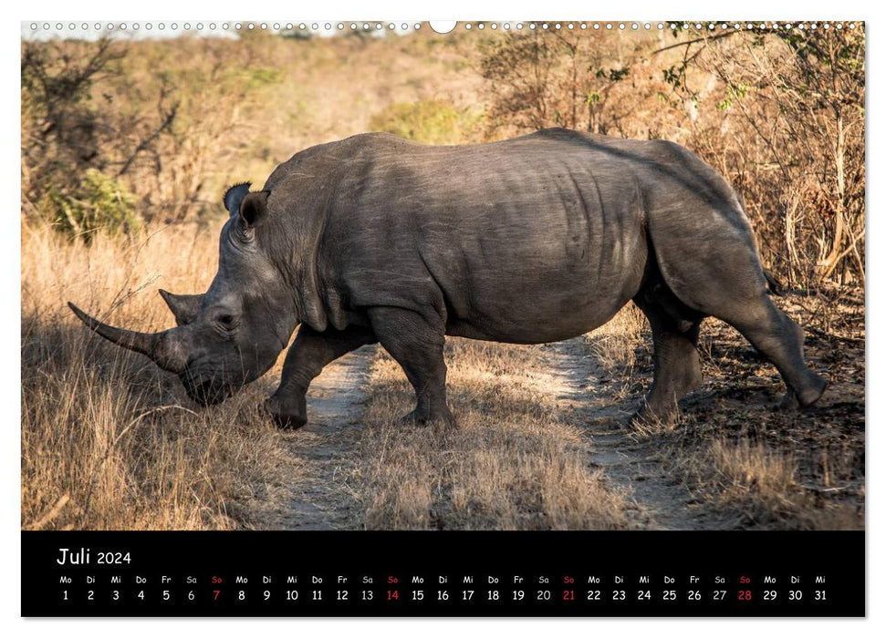Animal moments in Africa (CALVENDO Premium Wall Calendar 2024) 