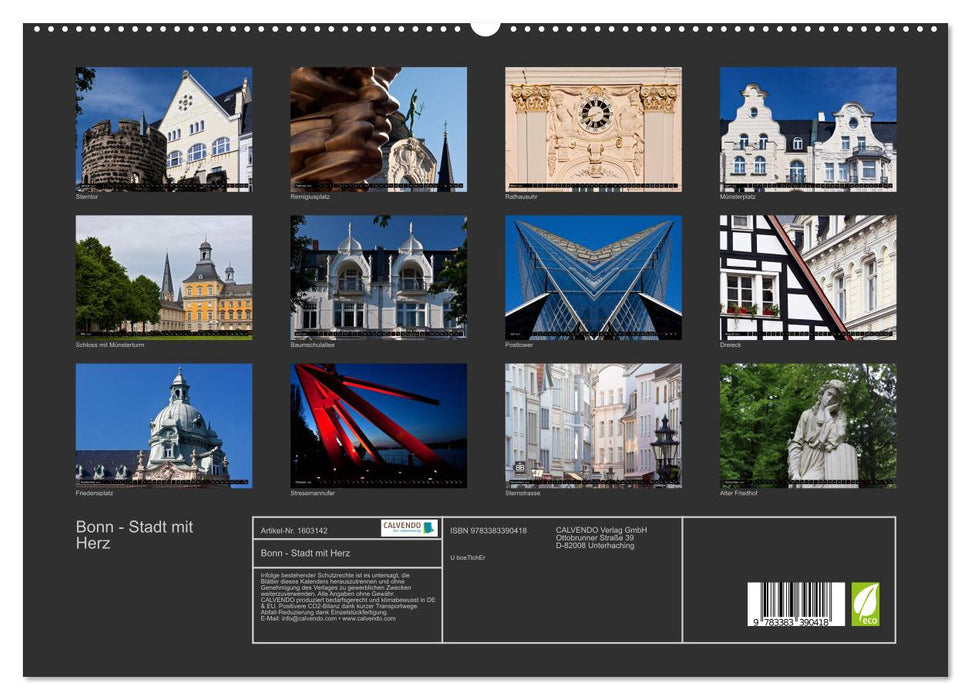 Bonn - City with Heart (CALVENDO Premium Wall Calendar 2024) 
