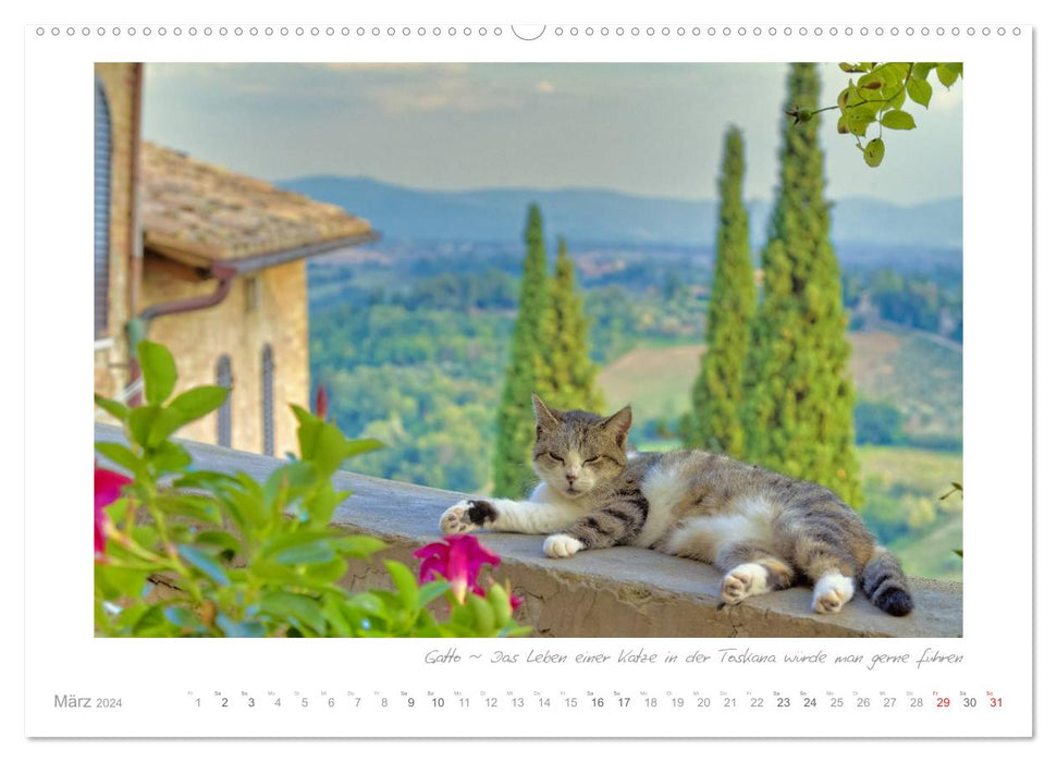 Sehnsucht Toskana - Land der sanften Hügel (CALVENDO Premium Wandkalender 2024)