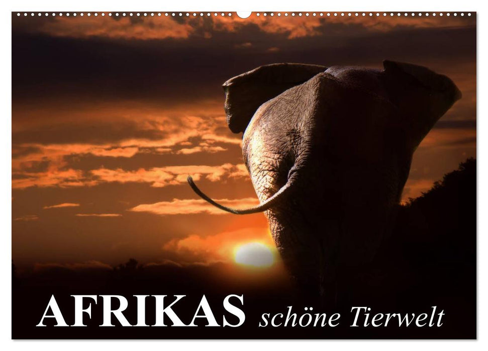 Afrikas schöne Tierwelt (CALVENDO Wandkalender 2024)