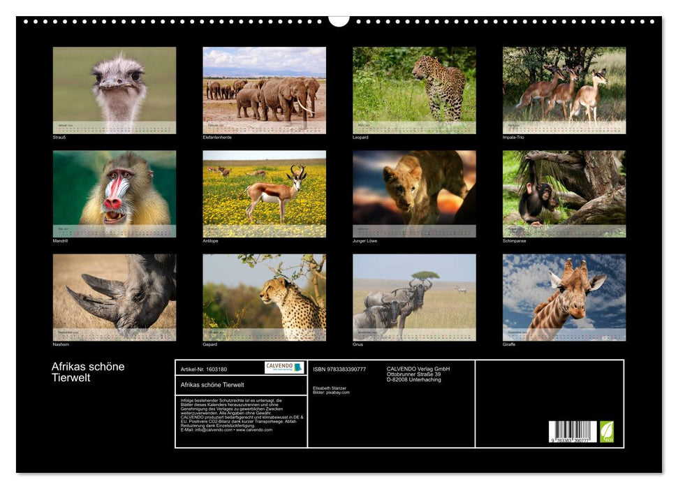 Afrikas schöne Tierwelt (CALVENDO Wandkalender 2024)