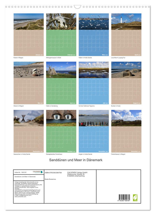 Sanddünen und Meer in Dänemark (CALVENDO Wandkalender 2024)