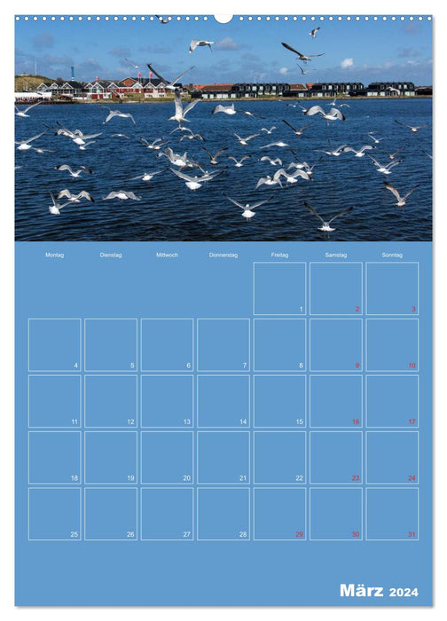 Sanddünen und Meer in Dänemark (CALVENDO Wandkalender 2024)