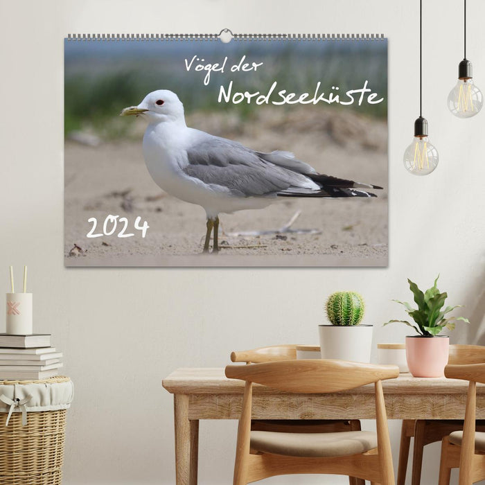 Vögel der Nordseeküste (CALVENDO Wandkalender 2024)