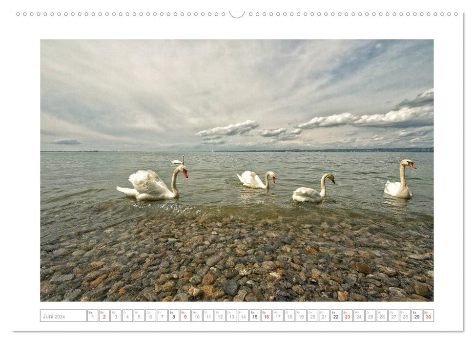 Melancholy Lake Constance 2024 (CALVENDO Premium Wall Calendar 2024) 