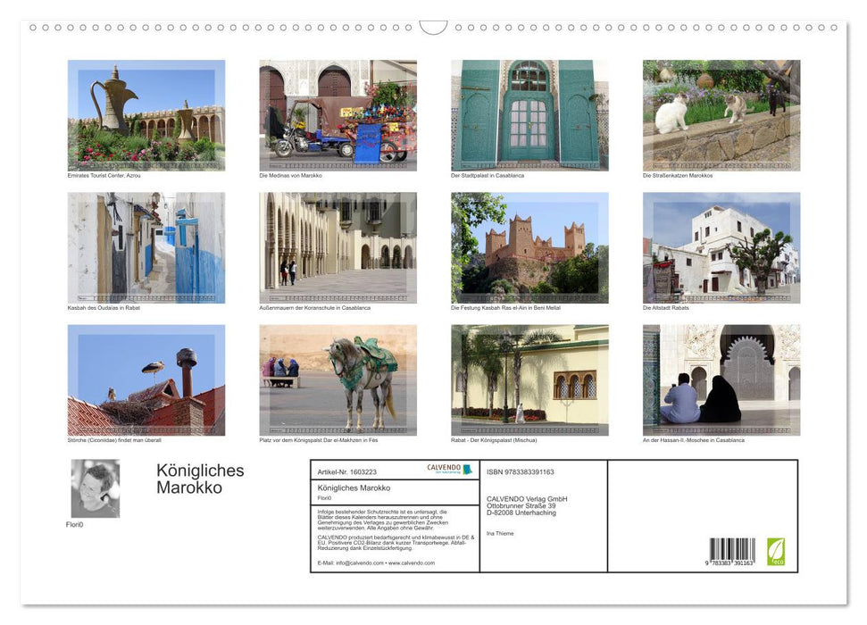 Royal Morocco (CALVENDO Wall Calendar 2024) 