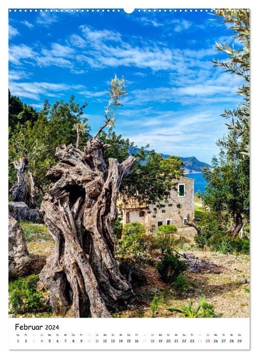 Mallorca - wild and romantic (CALVENDO Premium Wall Calendar 2024) 