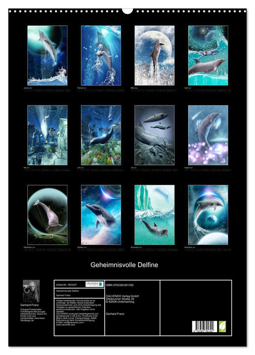 Mysterious dolphins (CALVENDO wall calendar 2024) 