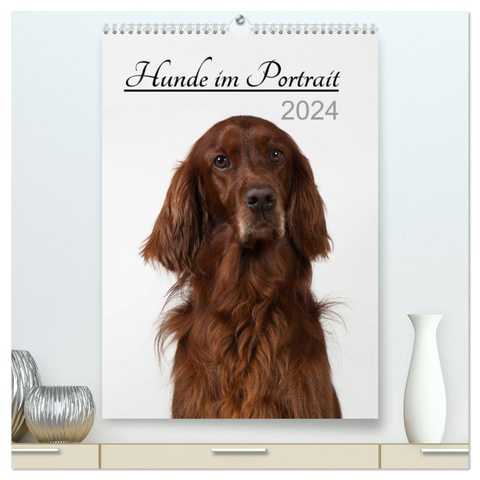 Dogs in portrait (CALVENDO Premium Wall Calendar 2024) 