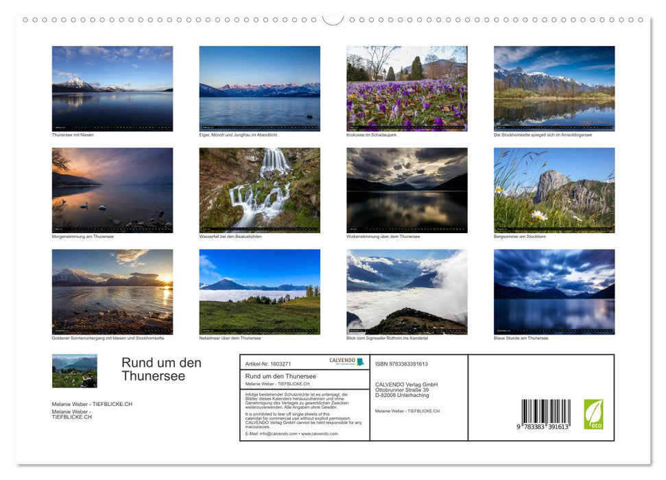 Around Lake Thun (CALVENDO Premium Wall Calendar 2024) 