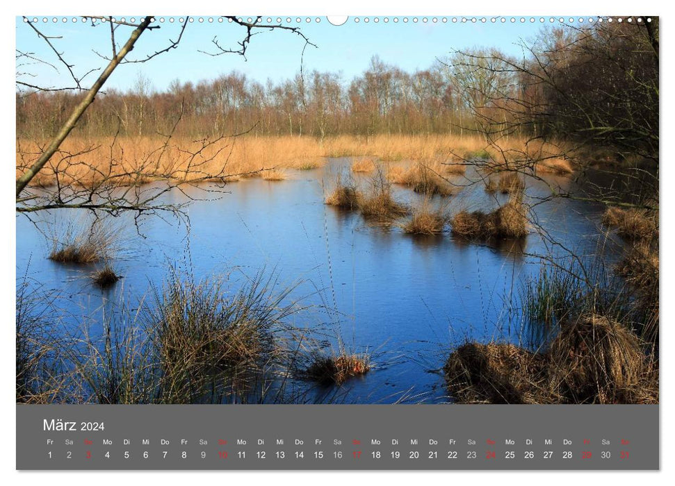 Moor and heath landscapes Lower Saxony (CALVENDO Premium Wall Calendar 2024) 