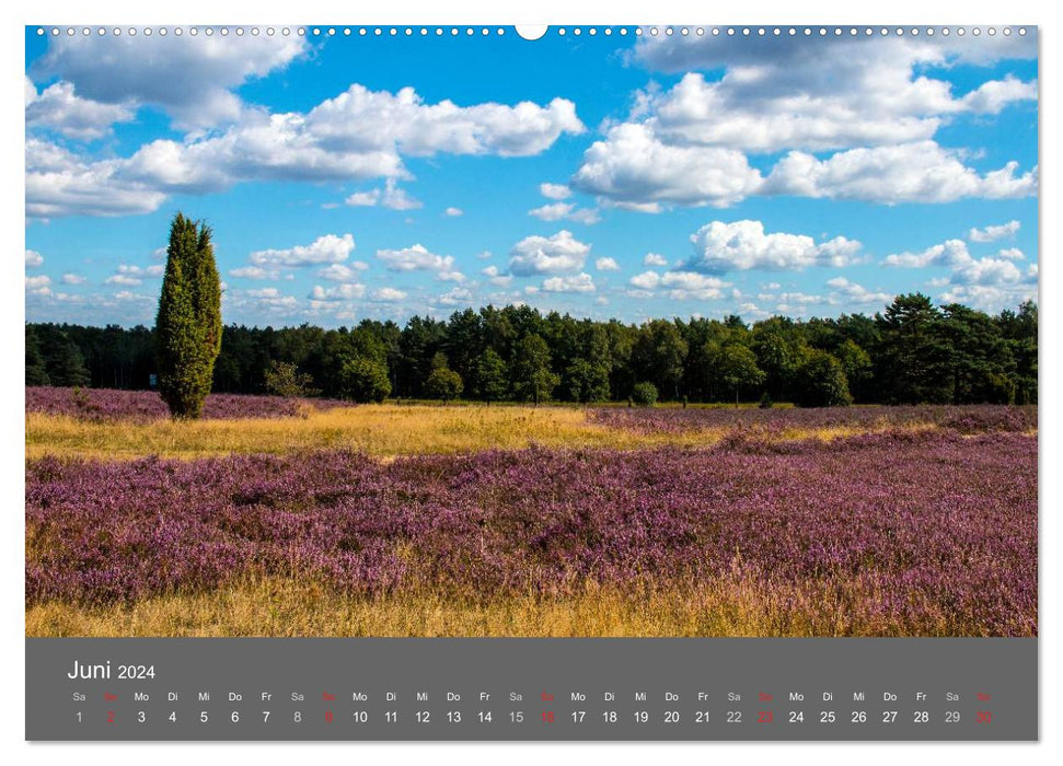 Moor and heath landscapes Lower Saxony (CALVENDO Premium Wall Calendar 2024) 