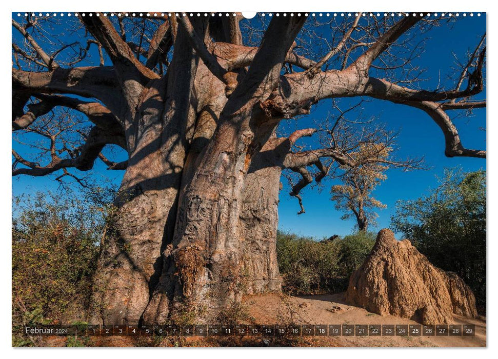 Botswana – Landschaft und Tierwelt (CALVENDO Premium Wandkalender 2024)