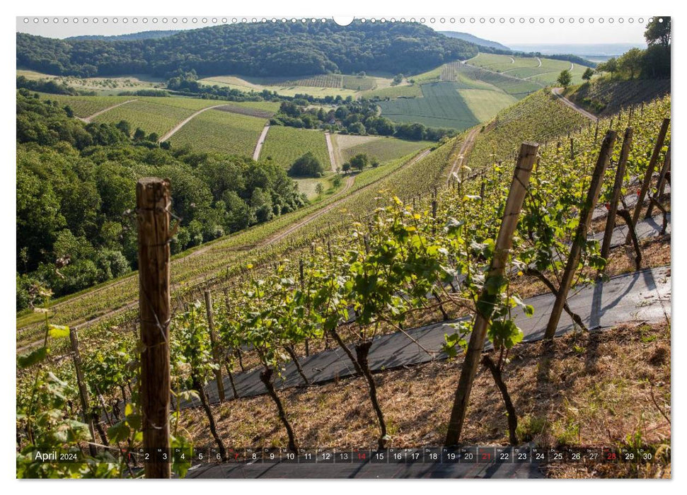 Vignobles en Franconie (Calvendo Premium Wall Calendar 2024) 