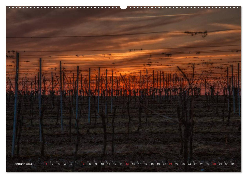 Wine Country Franconia (CALVENDO Premium Wall Calendar 2024) 