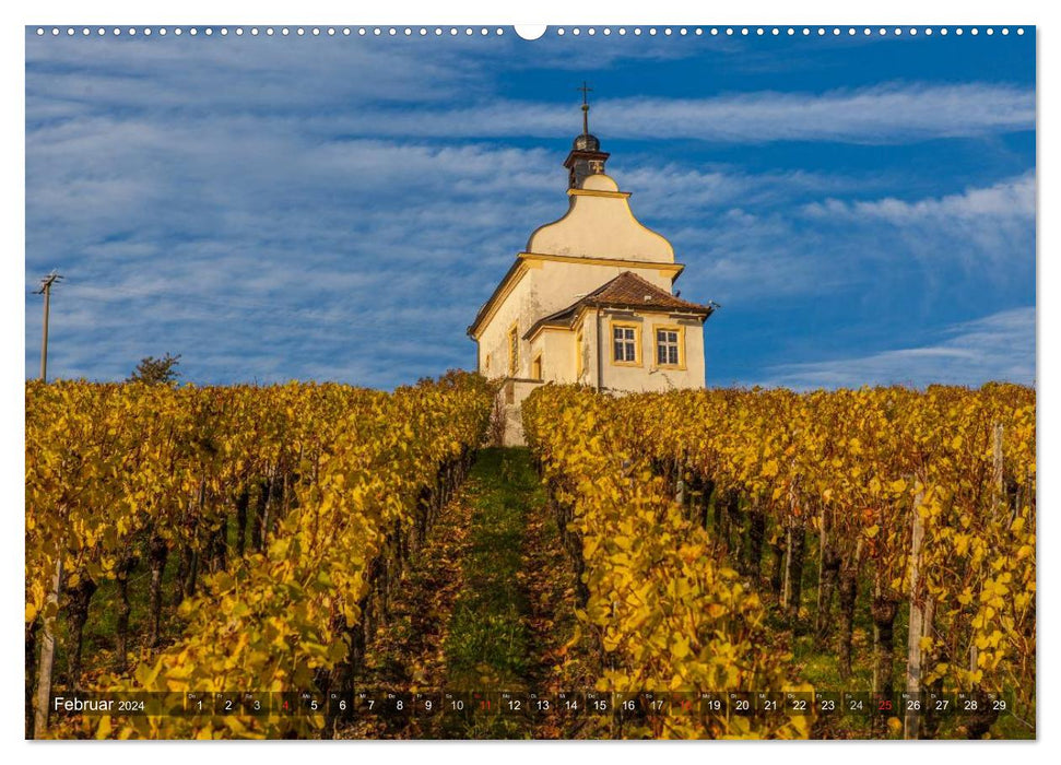 Wine Country Franconia (CALVENDO Premium Wall Calendar 2024) 