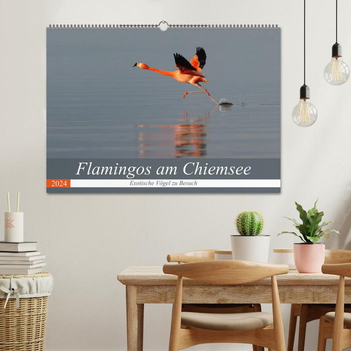 Flamingos am Chiemsee (CALVENDO Wandkalender 2024)