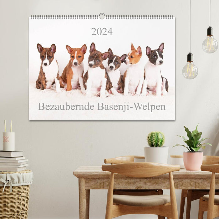 Adorable Basenji puppies (CALVENDO wall calendar 2024) 