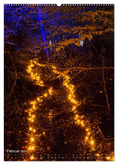 Waldlichter im Wildwald Vosswinkel 2024 (CALVENDO Wandkalender 2024)