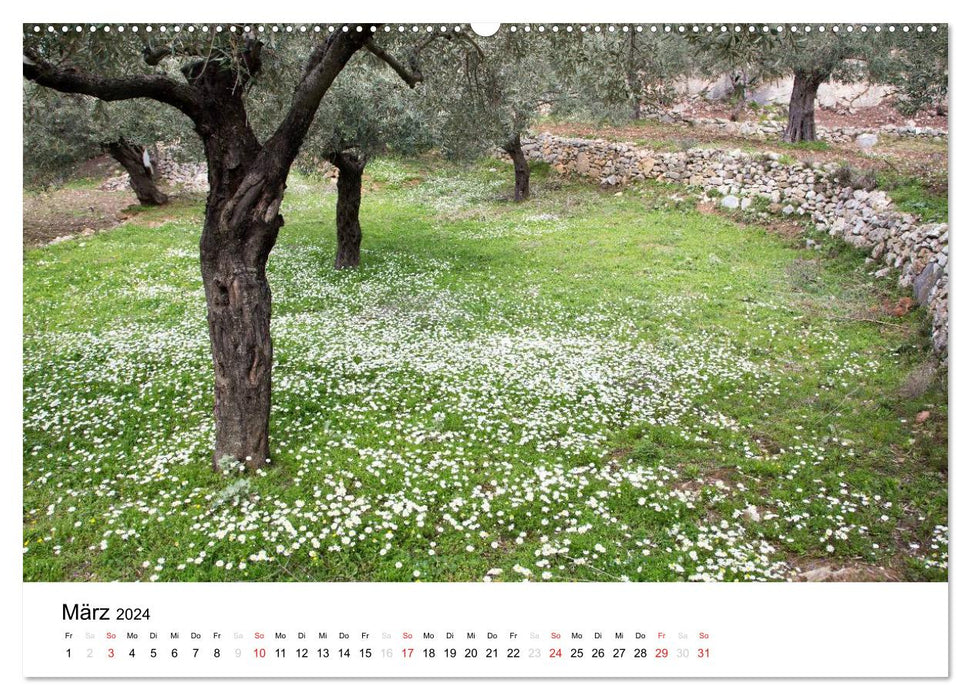 Alónnisos, Skiáthos, Skópelos (CALVENDO Premium Wall Calendar 2024) 
