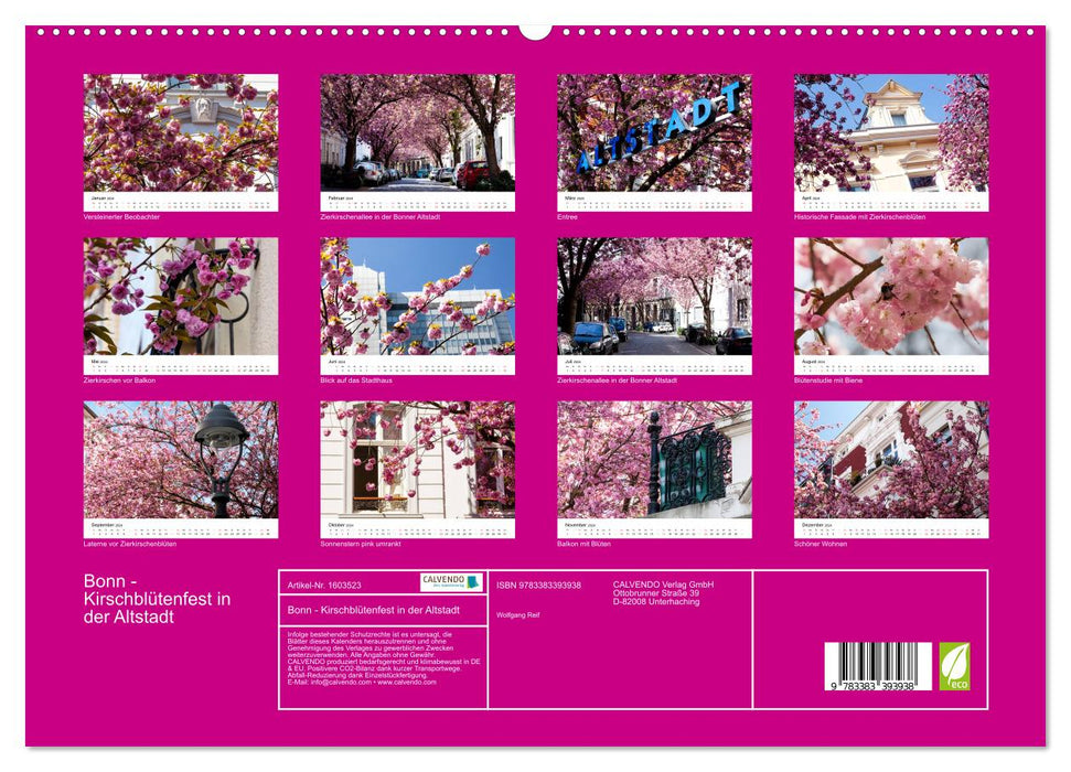 Bonn - Cherry Blossom Festival in the Old Town (CALVENDO Premium Wall Calendar 2024) 