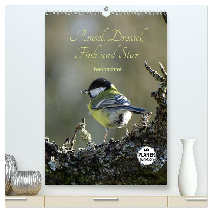 Blackbird, thrush, finch and starling - observed (CALVENDO Premium Wall Calendar 2024) 