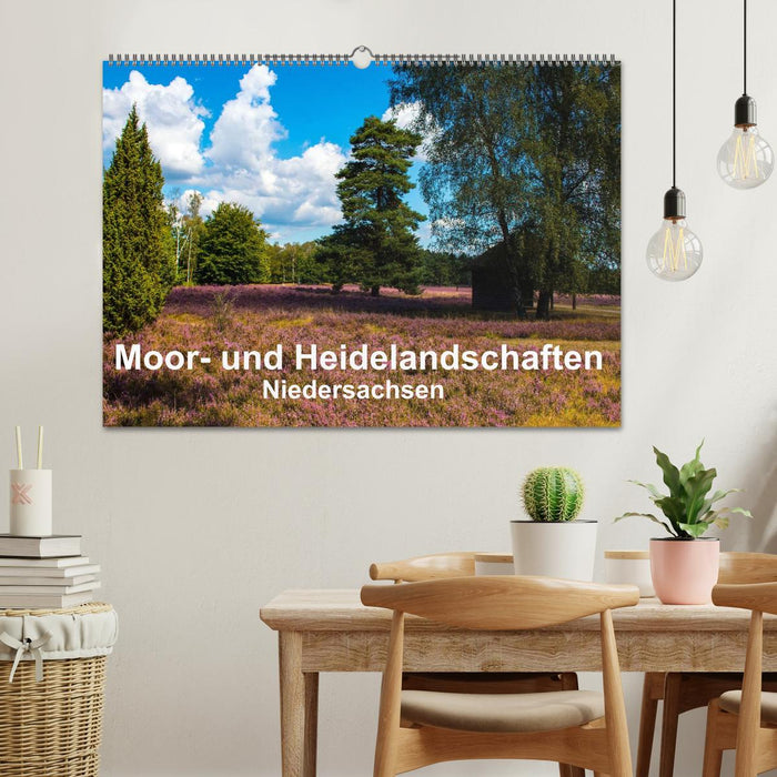 Moor- und Heidelandschaften Niedersachsen (CALVENDO Wandkalender 2024)